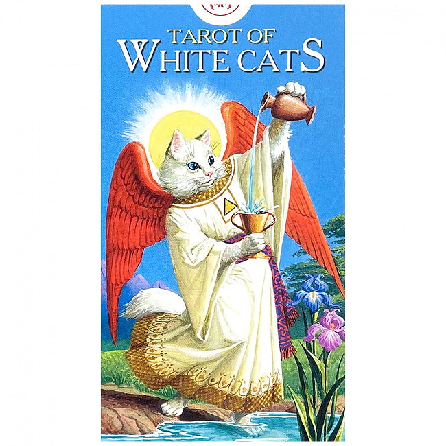 ホワイトキャッツ タロットカード - White Cats Tarot Cardの写真1枚目です。白いねこちゃんカードです、あなたはなにを問いますか？オラクルカード,占い,カード占い,タロット