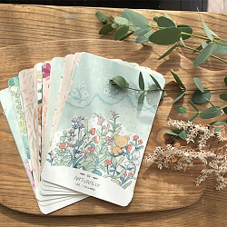 コトリエ クマチャンムーンカード - cotolie KUMACHAN MOON CARDS - サブ3