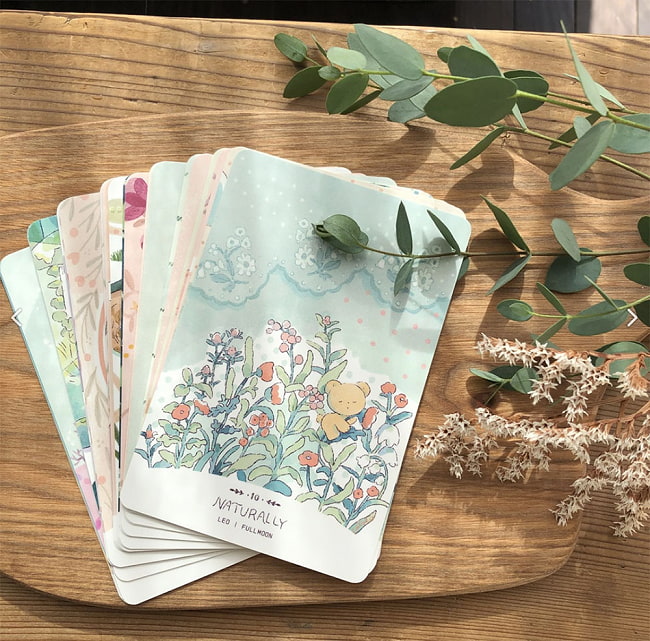 コトリエ クマチャンムーンカード - cotolie KUMACHAN MOON CARDS 3 - 素敵なカードです