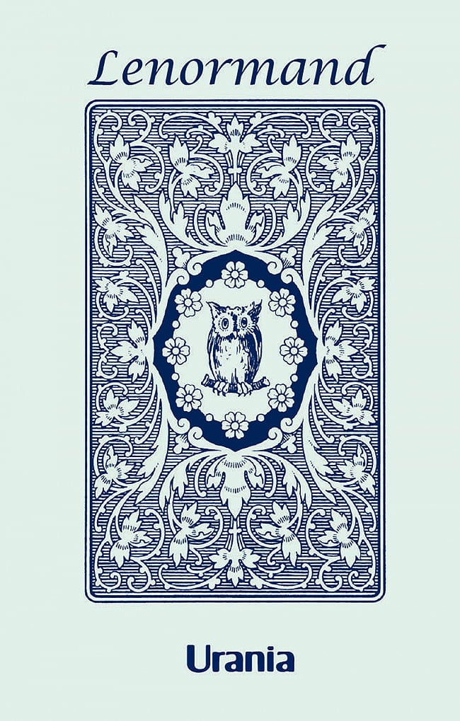 ブルーオウルルノルマンカード - Blue Owl Lenormand Cardの写真1枚目です。素敵なカードですオラクルカード,占い,カード占い,タロット