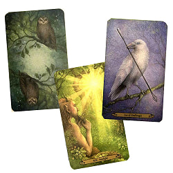 フォレストオブエンチャントメントタロット - Forest OF Enchantment TAROT - サブ2