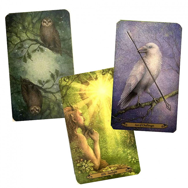 フォレストオブエンチャントメントタロット - Forest OF Enchantment TAROT 2 - 素敵なカードです