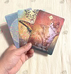 スピリットアニマルオラクル - Spirit Animal Oracle - サブ4