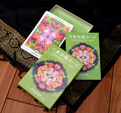 花曼荼羅 カード - HANAMANDALA CARDS - サブ5