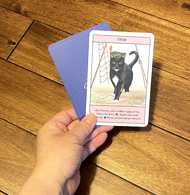 キャットグルカード - Cat guru card 4 - カードの大きさはこのくらいです