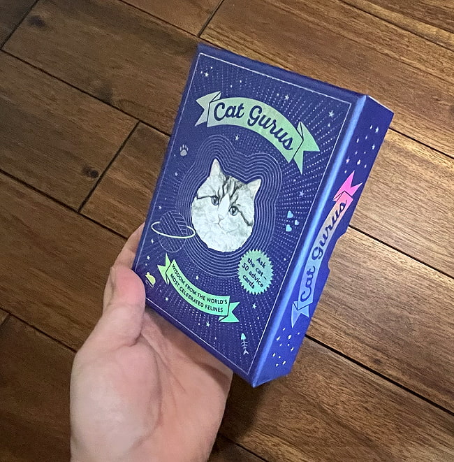 キャットグルカード - Cat guru card 5 - 大きさの比較のためにパッケージを手にとってみました