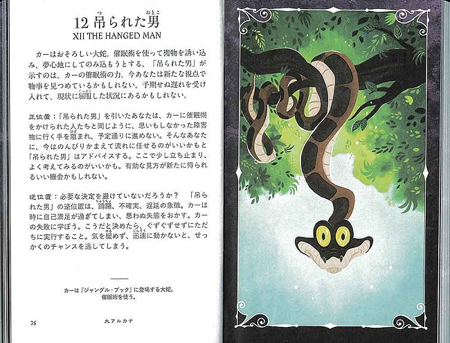 ディズニーヴィランズタロット - Disney Villains Tarot 3 - 日本語の説明書。いあ、、この人達にもいろいろな人生があったのですよ、、