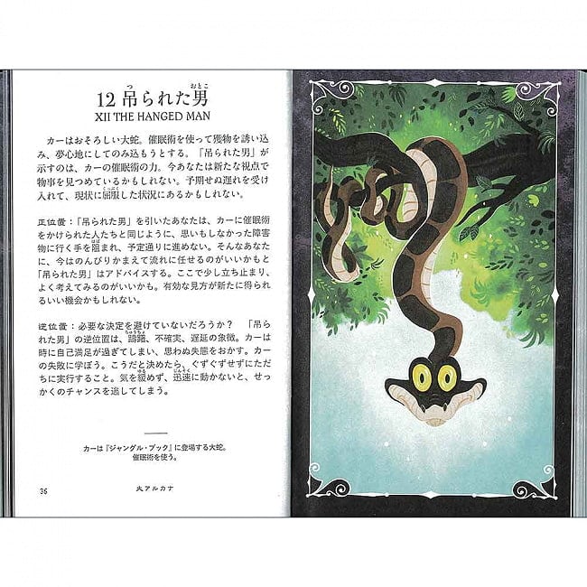 ディズニーヴィランズタロット - Disney Villains Tarot 3 - 日本語の説明書。いあ、、この人達にもいろいろな人生があったのですよ、、