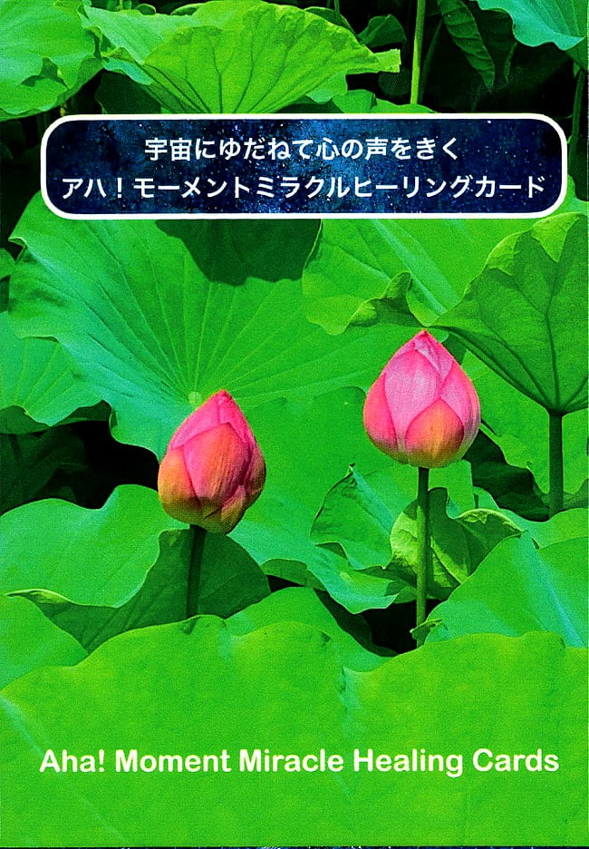 宇宙に委ねて心の声を聞くモーメントミラクルヒーリング - Moment Miracle Healing, leave it to the universe and listen to the voicの写真オラクルカード,占い,カード占い,タロット