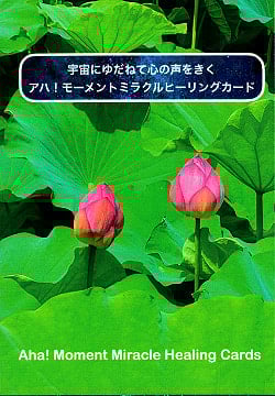 宇宙に委ねて心の声を聞くモーメントミラクルヒーリング - Moment Miracle Healing, leave it to the universe and listen to the voicの商品写真