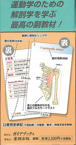 キネシオロジーフラッシュカード - kinesiology flashcards - サブ3