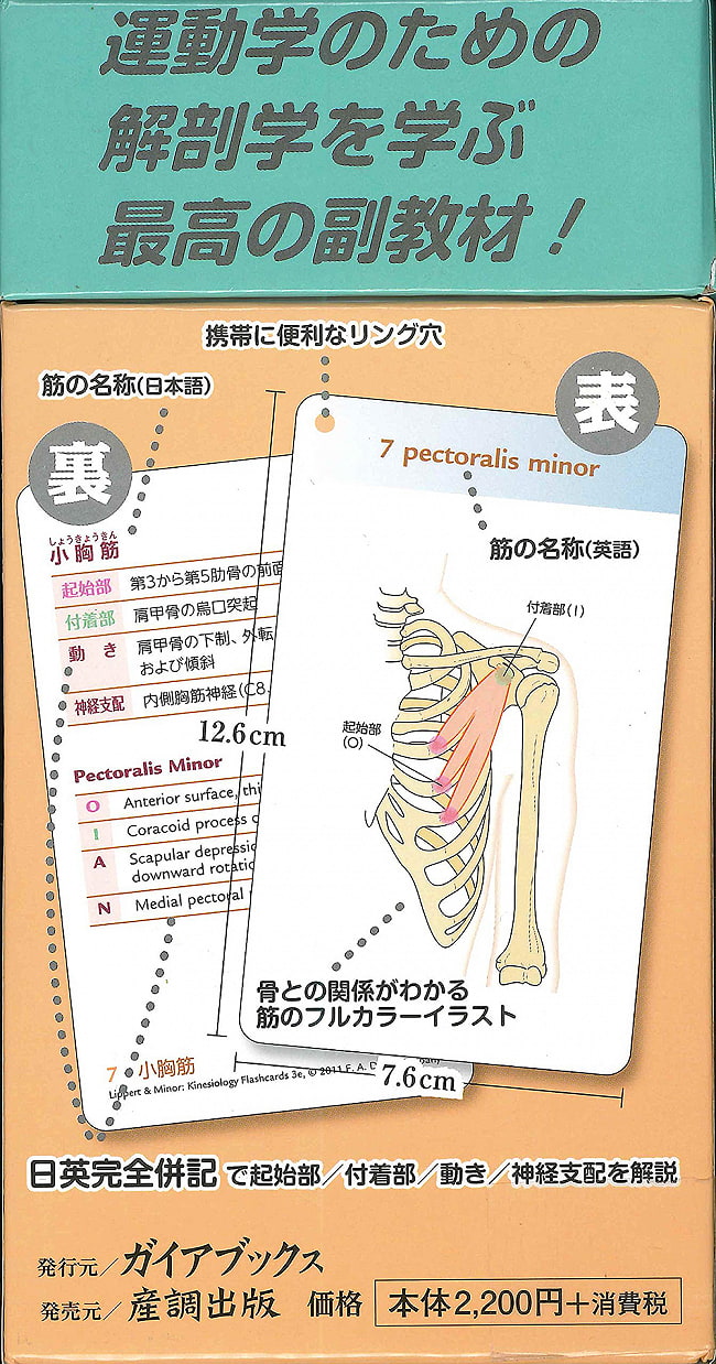 キネシオロジーフラッシュカード - kinesiology flashcards 3 - 素敵な本です