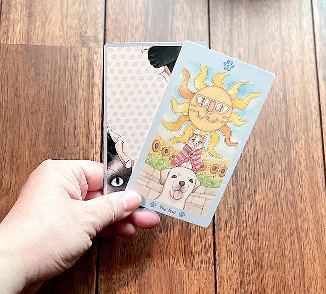 キャット・パウ・タロット〈新装版〉- Cat PawCat Paw Tarot  4 - カードの大きさはこのくらい。カードを持っている手は、手の付け根から中指の先までで約17cmです。
