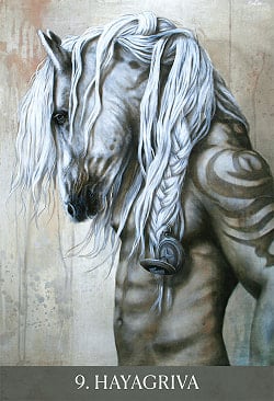 メディシン・ハート・オラクル - Medicine Heart Oracle: Shamanic Wisdom of the Divine Feminine - サブ3