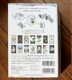 ワイルドアンノウン アニマルスピリット - Wild Unknown Animal Spirits - サブ3