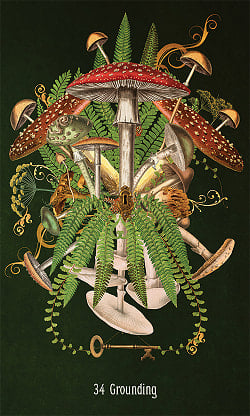 アンロックッキング シークレットガーデンオラクル - Unlocking the Secret Garden Oracle - サブ2