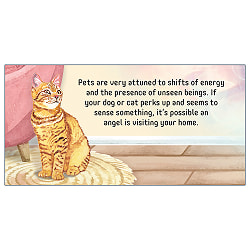 エンジェルコネクション - Angel Connections: 40 Message Cards - サブ2