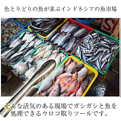 インドネシアのウロコ取り がっしり22cm - サブ2