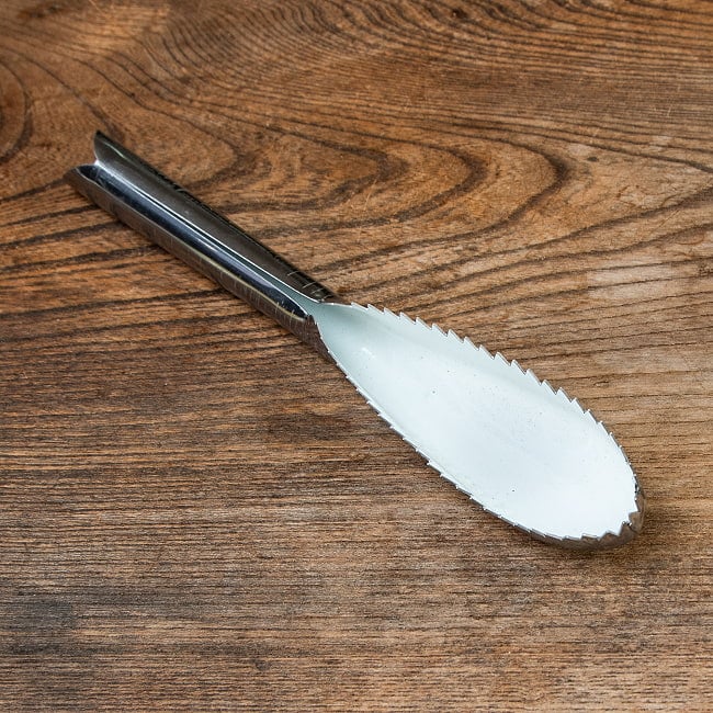 インドネシアのウロコ取り がっしり22cm 3 - 強靭な歯がついていて鱗をガシガシとれます。