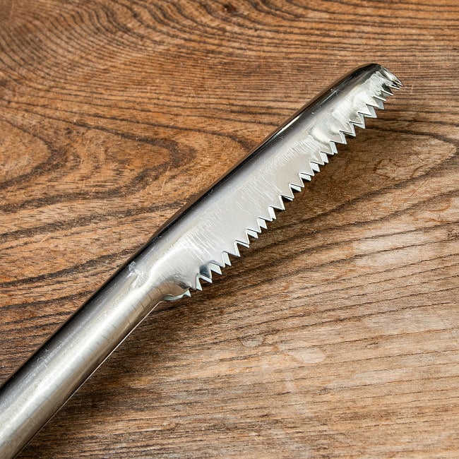 インドネシアのウロコ取り がっしり22cm 4 - 側面から