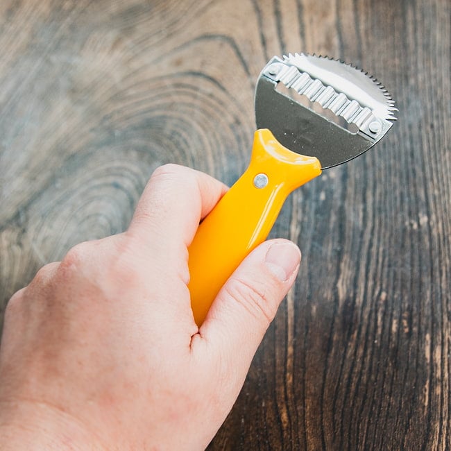 タイのココナッツ削り ＆ ピーラー 7 - これくらいのサイズ感です。