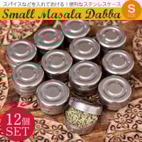 〔12個セット〕〔Sサイズ〕ステンレスの小さなマサラケース・スパイスケース小物入れ[約2cm×3.6cm]