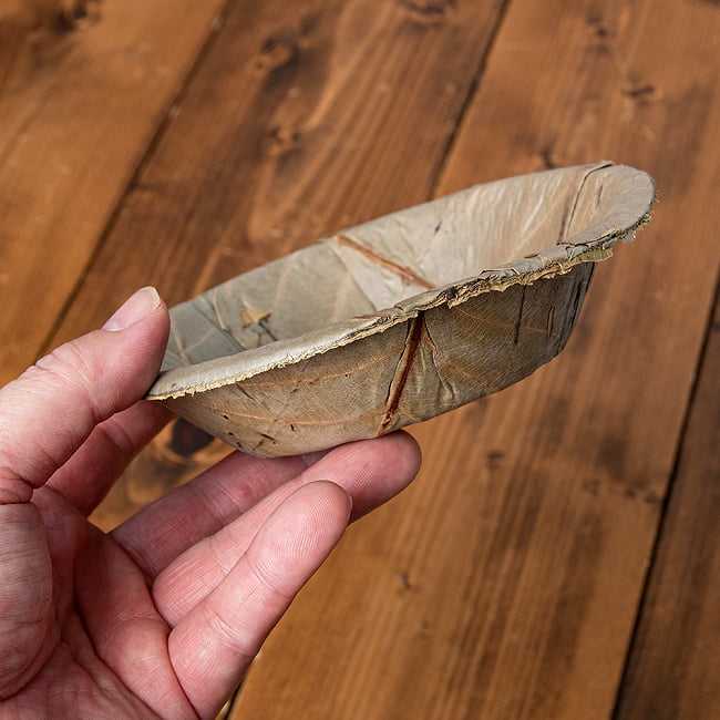 【約25枚セット】インドのリーフプレート ミニボウル 直径15cm 6 - 手に取るとこれくらいのサイズ感です。