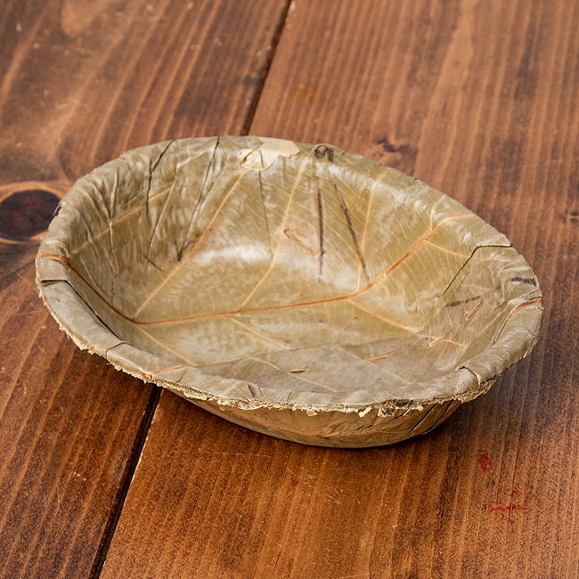 【約25枚セット】インドのリーフプレート オーバルボウル 15cmx11.5cm 3 - 天然素材で作られています。