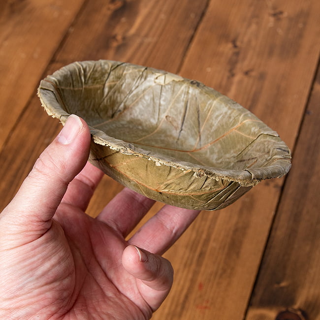 【約25枚セット】インドのリーフプレート オーバルボウル 15cmx11.5cm 6 - 手に取るとこれくらいのサイズ感です。