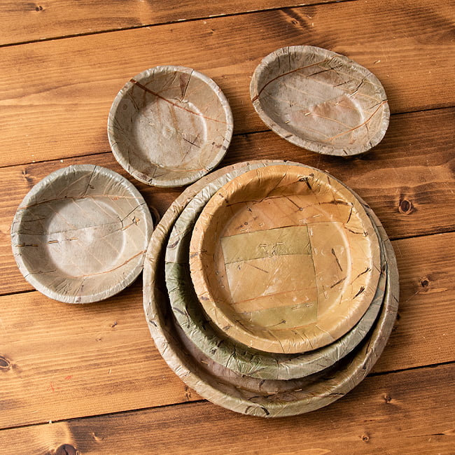 【約25枚セット】インドのリーフプレート オーバルボウル 15cmx11.5cm 8 - いろいろなサイズからお選びいただけます。