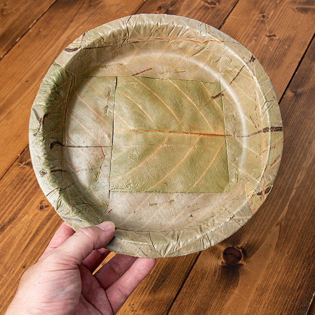 【約25枚セット】インドのリーフプレート カレーライスプレート 直径22.5cm 6 - 手に取るとこれくらいのサイズ感です。