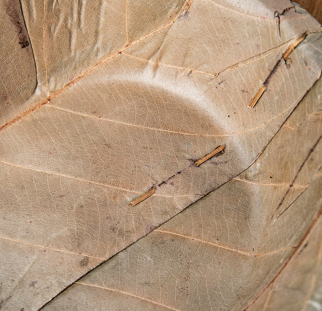 【約25枚セット】インドのリーフプレート カレーライスプレート 直径22.5cm 7 - 葉っぱを縫い合わせて熱でかためた、非常にプリミティブな作りです。