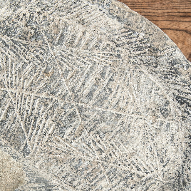【1点物】［カケアリ］石のマサラ潰し プリミティブなネパール製 23.5cmｘ17cm 5.7kg 厚み7.5cm程度 4 - スパイスをホールドできるように刻みが入っています。