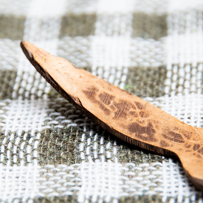 【10個セット】小瓶にも入るミニサイズ！ココナッツのソルトスプーン 5 - 持ち手部分です。