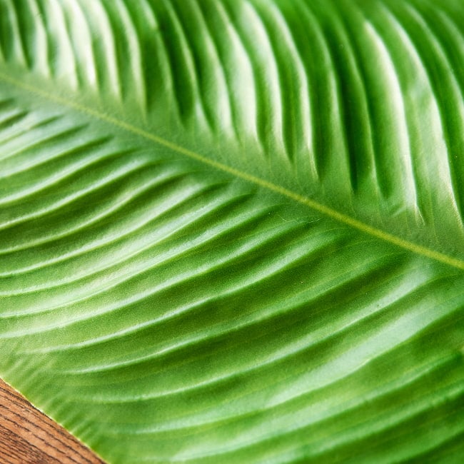 【4枚セット】バナナの葉っぱの ランチョンマット お家でミールス気分を！ 56.5cm x 27cm程度 6 - 角度を変えてみてみました。