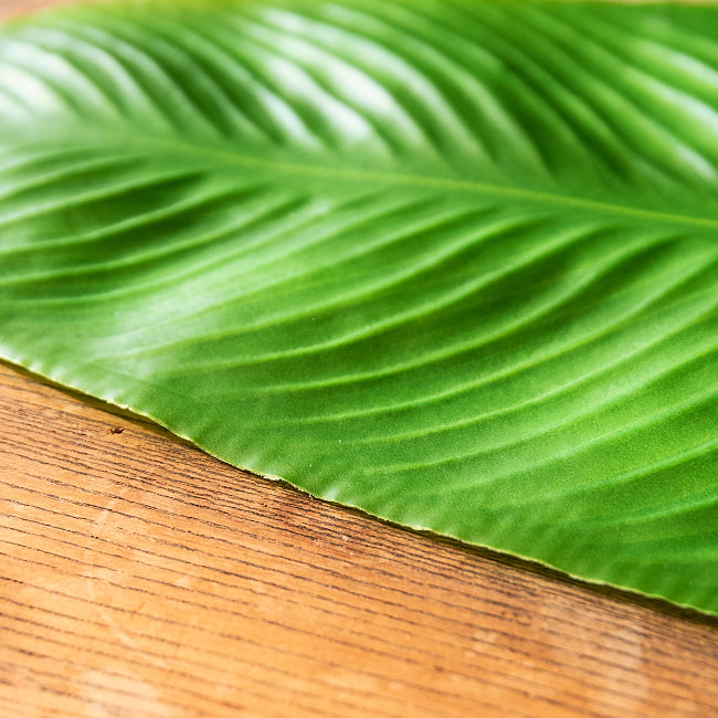 【4枚セット】バナナの葉っぱの ランチョンマット お家でミールス気分を！ 56.5cm x 27cm程度 7 - 薄手の素材です。