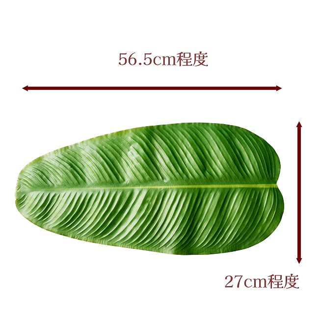 【10枚セット】バナナの葉っぱの ランチョンマット お家でミールス気分を！ 56.5cm x 27cm程度 10 - サイズ表