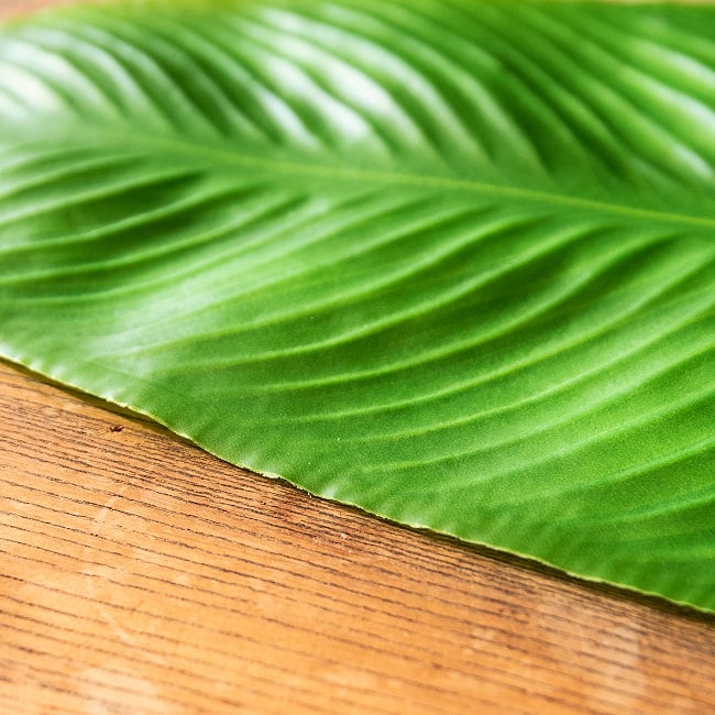 【30枚セット】バナナの葉っぱの ランチョンマット お家でミールス気分を！ 56.5cm x 27cm程度 7 - 薄手の素材です。