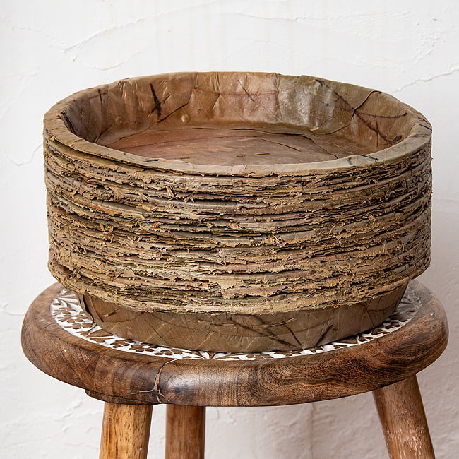 【約100枚セット】インドのリーフプレート ターリープレート 直径26.5cm 3 - おおむね25枚入りです。