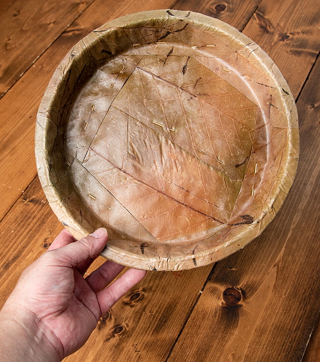 【約100枚セット】インドのリーフプレート ターリープレート 直径26.5cm 7 - 手に取るとこれくらいのサイズ感です。