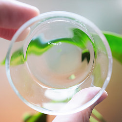 【6個セット】〔BOROSIL〕〔約105ml〕ボロシルのカトリ モダン・カレー小皿　SMALL KATORIES  〔並行輸入品〕 洗練されたモダンなデザイン 耐熱〔約3.9cm × 約6.4cm〕 - サブ4