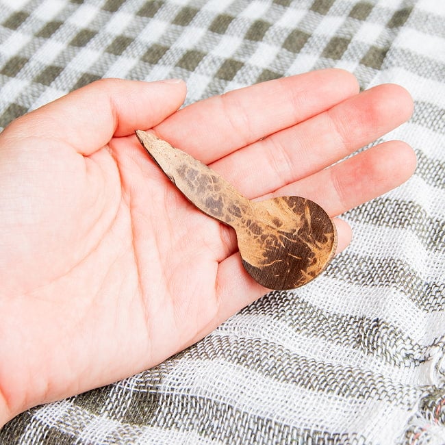 小瓶にも入るミニサイズ!ココナッツのソルトスプーンの商品写真 7枚目 サイズ感の参考に、手のひらに載せてみました。