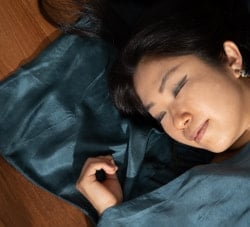 ベトナムのシルク寝袋[シングルサイズ] - サブ2