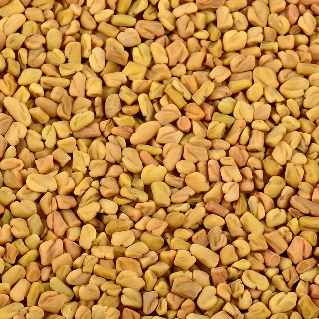 【高級品質】お試しプレゼント フェネグリーク ホール - Fenugreek Whole【100gパック】[Viraki Bros]の写真1枚目です。プレゼント,プレゼント,プレゼント,プレゼント,