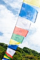 NP-FLAG-4の評価写真