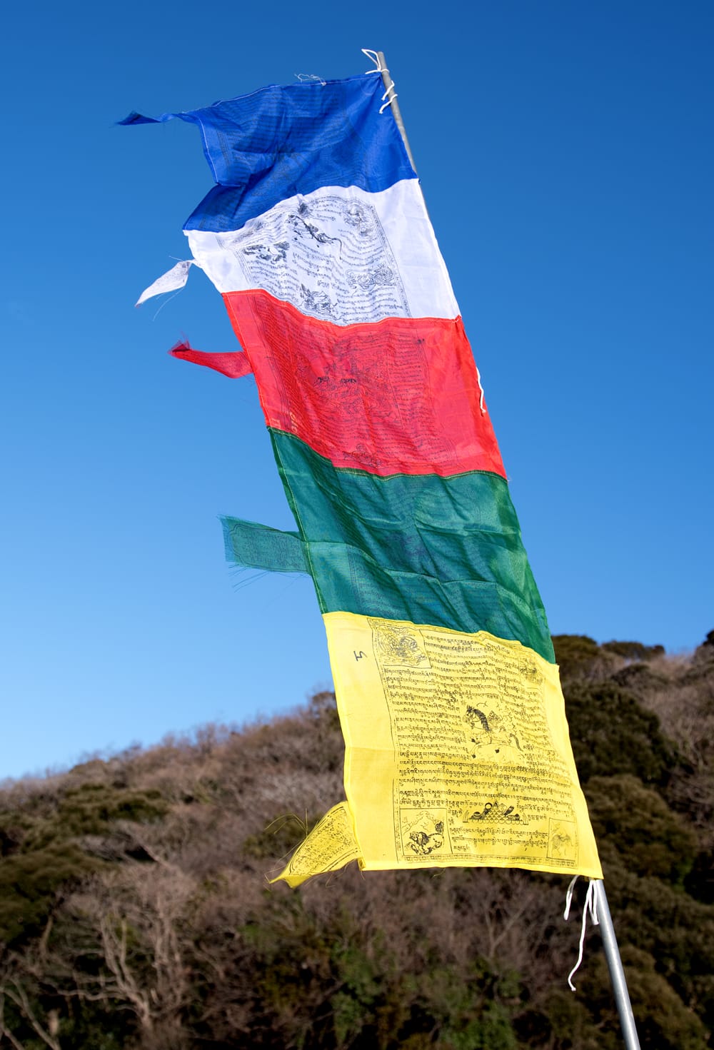 5色の縦型タルチョー【約160cm×50cm】 / 五色旗 ルンタ チベット マニ旗 アジア 布 インド ファブリック エスニック