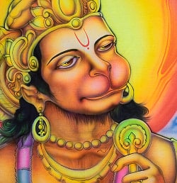 ハヌマンの最高級ブラシペイントバティック【240cm x 140cm】 - サブ4