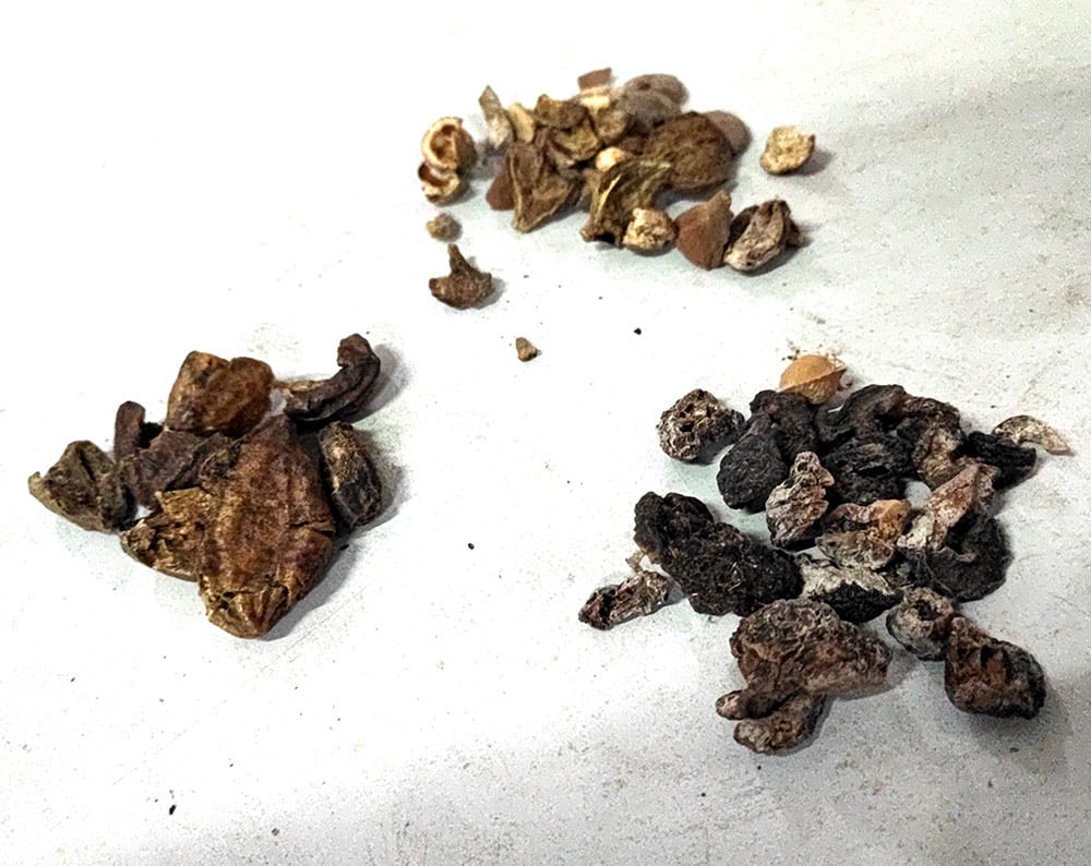 アーユルブリス　トリパラ　ソープ 75g[AYURBLISS TRIPHALA SOAP]6枚目の下部説明写真です