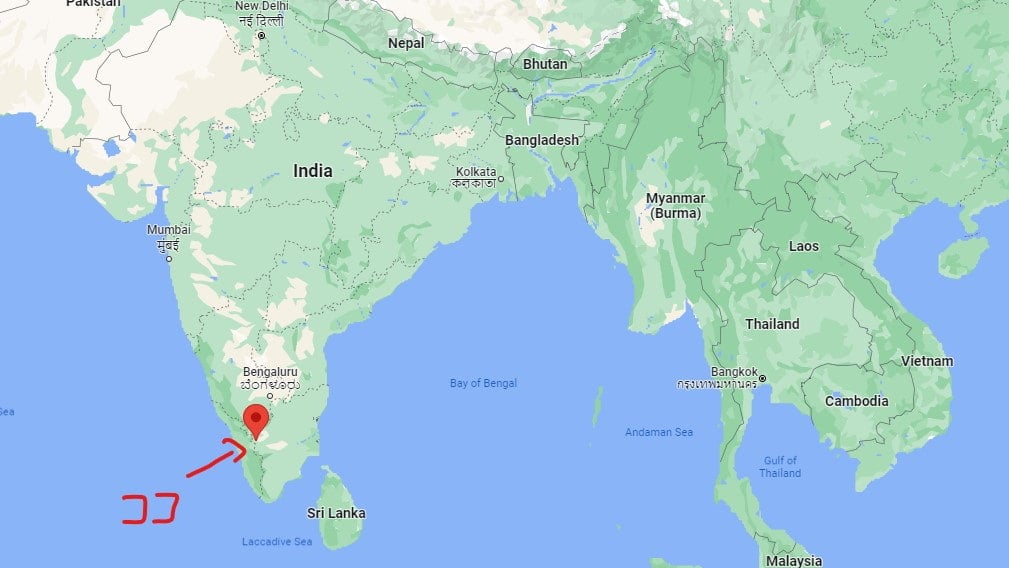 ＡＶＰ　クシーラバラ　タイラム[Ksheerabala Thailam 200ml]2枚目の下部説明写真です