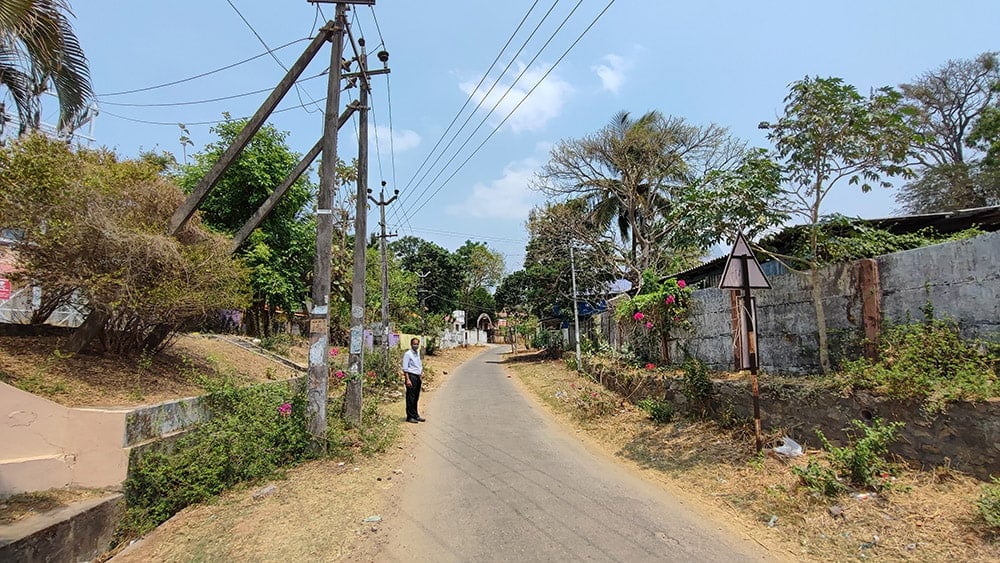 ＡＶＰ　クシーラバラ　タイラム[Ksheerabala Thailam 200ml]4枚目の下部説明写真です
